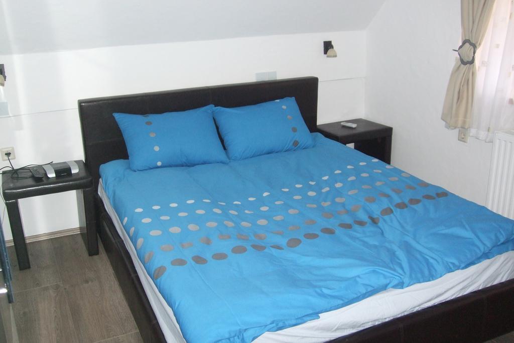 Apartment Borovnica Moravske Toplice Habitación foto
